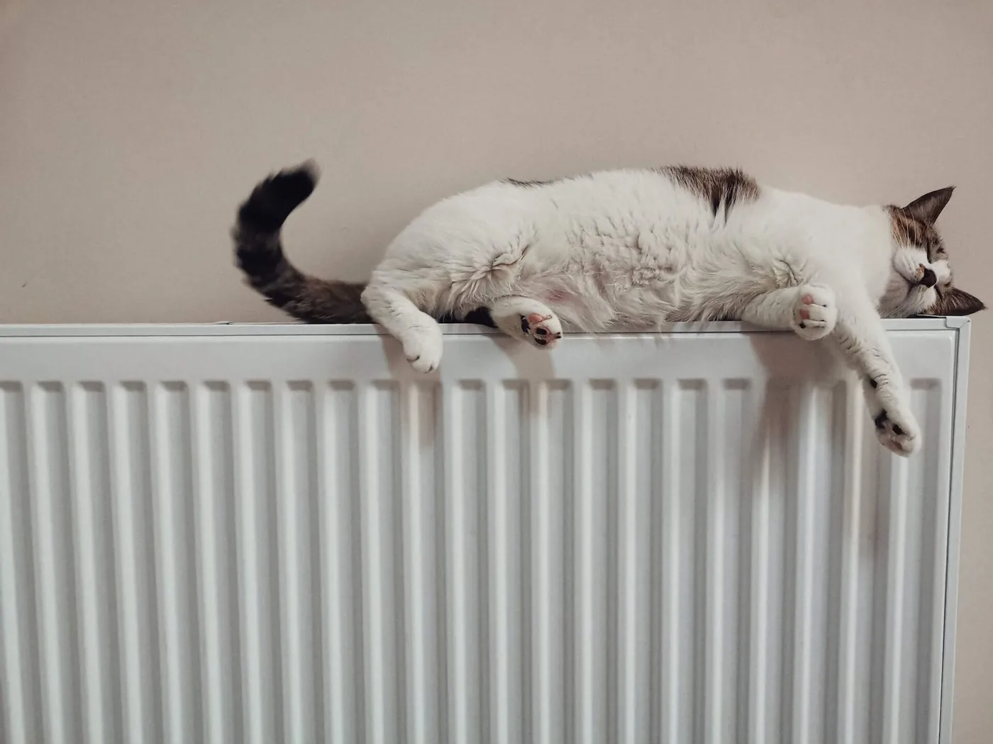 Cat lying on top of a white central heating radiator