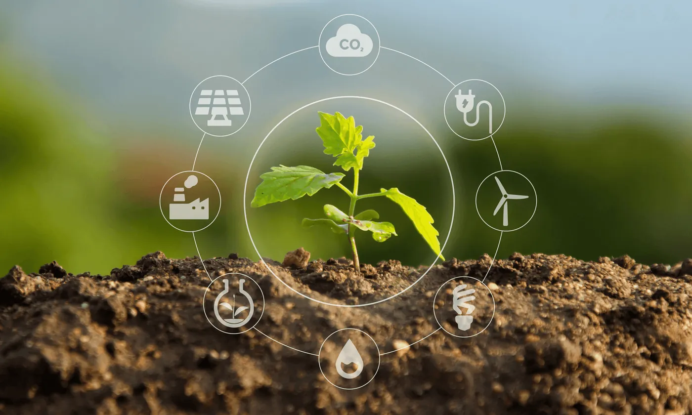 Seedling in soil surrounded by renewable energy icons